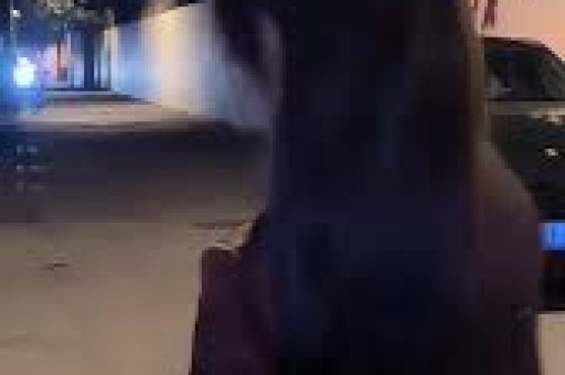 天星挨度砂法秘诀